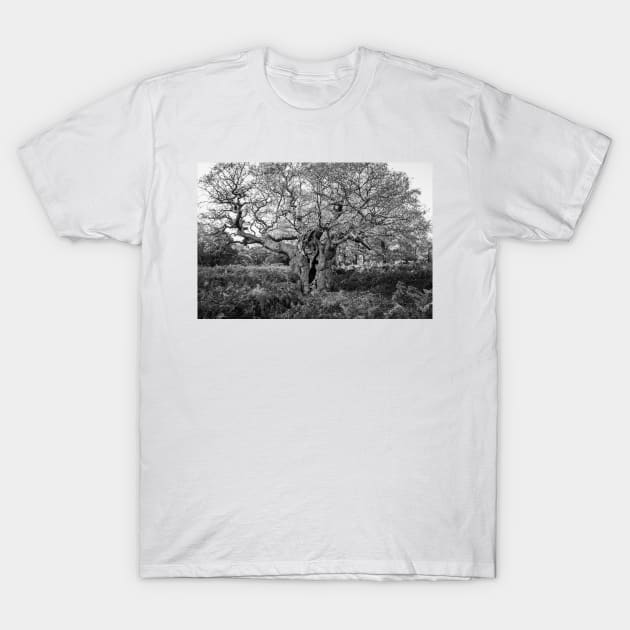 Royal Oak, Richmond Park T-Shirt by GrahamPrentice